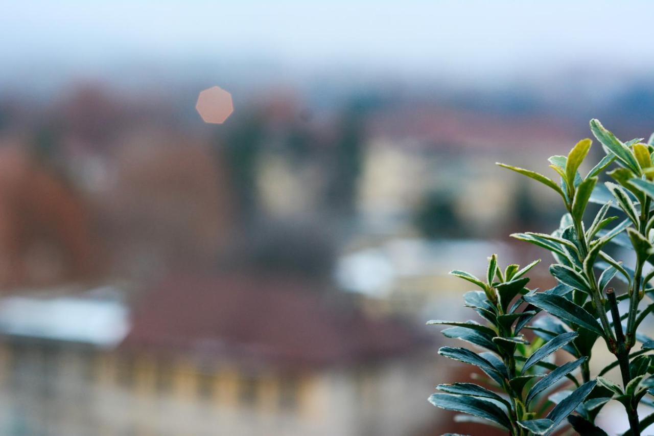 Sunny Side I Turin Suite Dış mekan fotoğraf